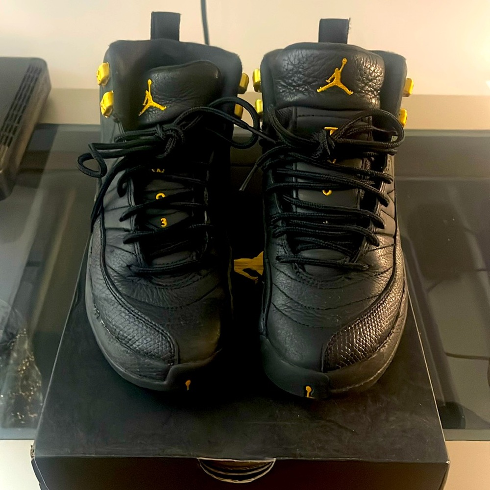 Jordan retro 12